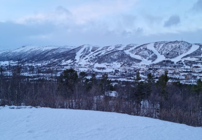 Hytte i Hol - Nylig oppgradert stor vakker hytte med fantastisk utsikt i Geilo Hytte i Hol - Nylig oppgradert stor vakker hytte med fantastisk utsikt i Geilo