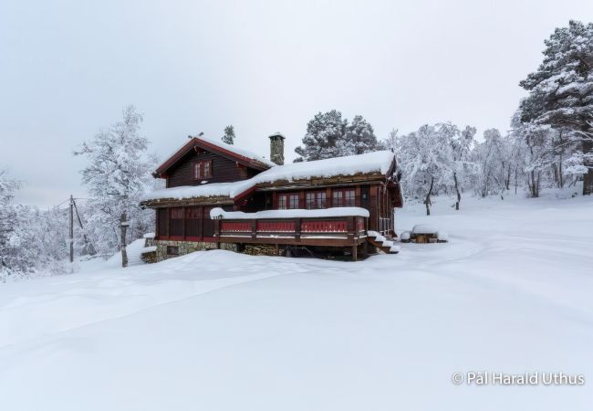 Hytte i Hol - Nylig oppgradert stor vakker hytte med fantastisk utsikt i Geilo Hytte i Hol - Nylig oppgradert stor vakker hytte med fantastisk utsikt i Geilo
