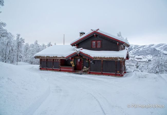 Hytte i Hol - Nylig oppgradert stor vakker hytte med fantastisk utsikt i Geilo Hytte i Hol - Nylig oppgradert stor vakker hytte med fantastisk utsikt i Geilo