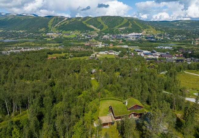 Hytte i Hol - Nylig oppgradert stor vakker hytte med fantastisk utsikt i Geilo Hytte i Hol - Nylig oppgradert stor vakker hytte med fantastisk utsikt i Geilo