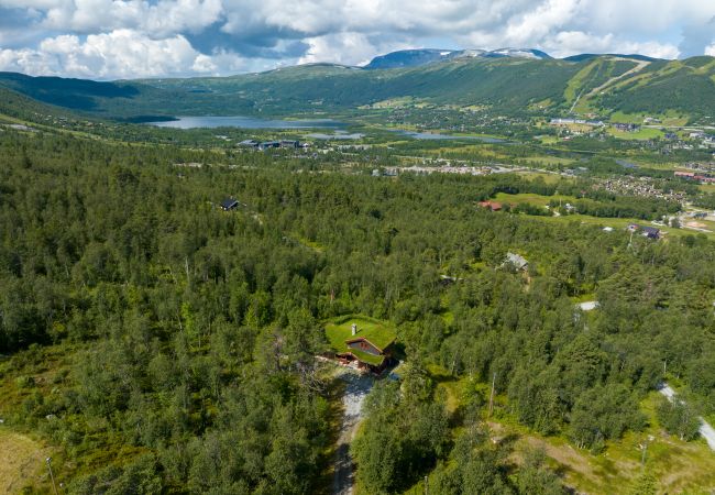 Hytte i Hol - Nylig oppgradert stor vakker hytte med fantastisk utsikt i Geilo Hytte i Hol - Nylig oppgradert stor vakker hytte med fantastisk utsikt i Geilo