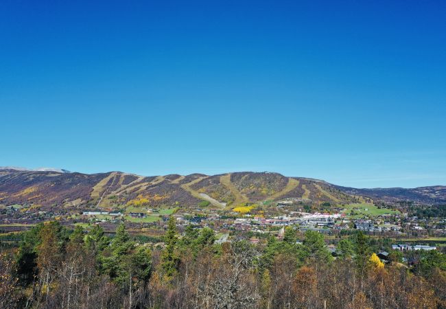 Hytte i Hol - Nylig oppgradert stor vakker hytte med fantastisk utsikt i Geilo Hytte i Hol - Nylig oppgradert stor vakker hytte med fantastisk utsikt i Geilo