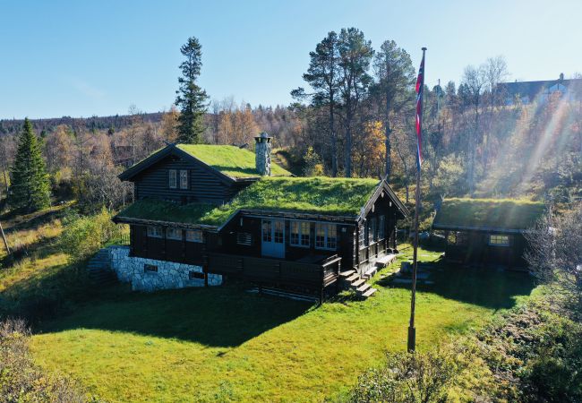 Hytte i Hol - Nylig oppgradert stor vakker hytte med fantastisk utsikt i Geilo Hytte i Hol - Nylig oppgradert stor vakker hytte med fantastisk utsikt i Geilo