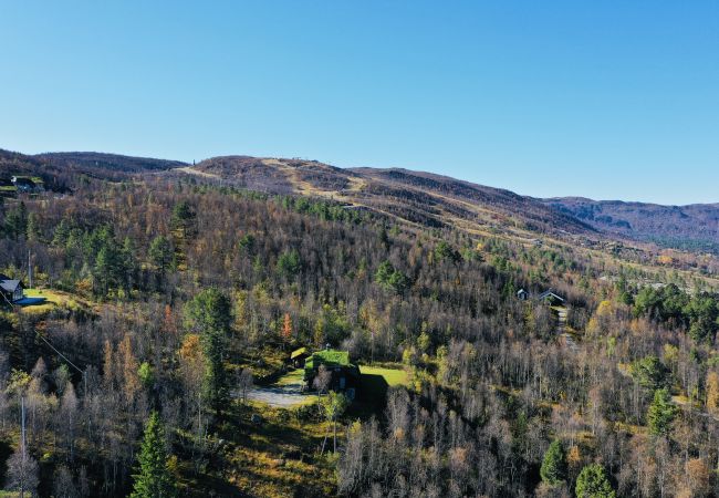 Hytte i Hol - Nylig oppgradert stor vakker hytte med fantastisk utsikt i Geilo Hytte i Hol - Nylig oppgradert stor vakker hytte med fantastisk utsikt i Geilo