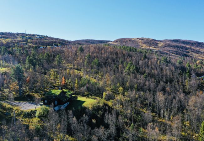 Hytte i Hol - Nylig oppgradert stor vakker hytte med fantastisk utsikt i Geilo Hytte i Hol - Nylig oppgradert stor vakker hytte med fantastisk utsikt i Geilo