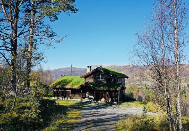 Hytte i Hol - Nylig oppgradert stor vakker hytte med fantastisk utsikt i Geilo Hytte i Hol - Nylig oppgradert stor vakker hytte med fantastisk utsikt i Geilo
