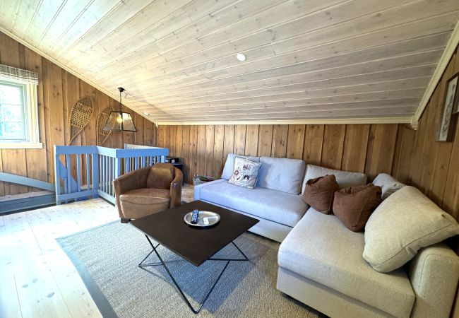 Hytte i Hol - Nylig oppgradert stor vakker hytte med fantastisk utsikt i Geilo Hytte i Hol - Nylig oppgradert stor vakker hytte med fantastisk utsikt i Geilo
