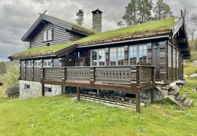 Hytte i Hol - Nylig oppgradert stor vakker hytte med fantastisk utsikt i Geilo Hytte i Hol - Nylig oppgradert stor vakker hytte med fantastisk utsikt i Geilo