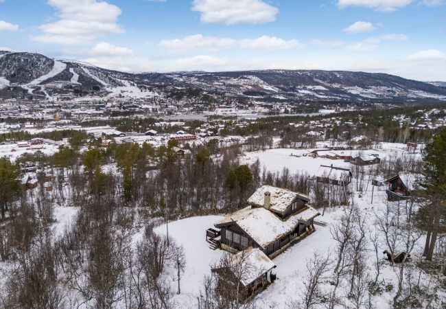 Hytte i Hol - Nylig oppgradert stor vakker hytte med fantastisk utsikt i Geilo