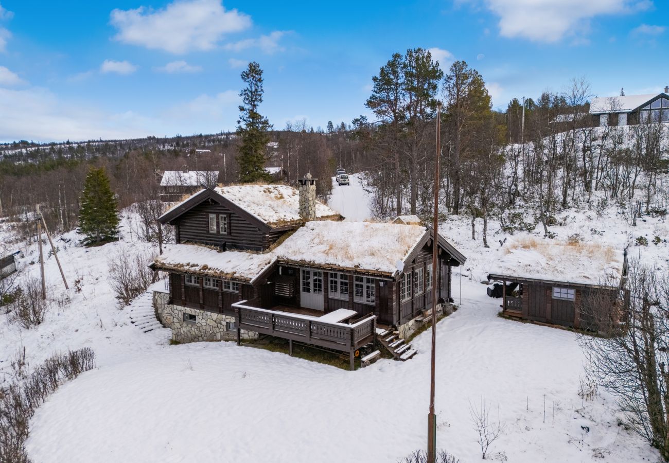 Hytte i Hol - Nylig oppgradert stor vakker hytte med fantastisk utsikt i Geilo