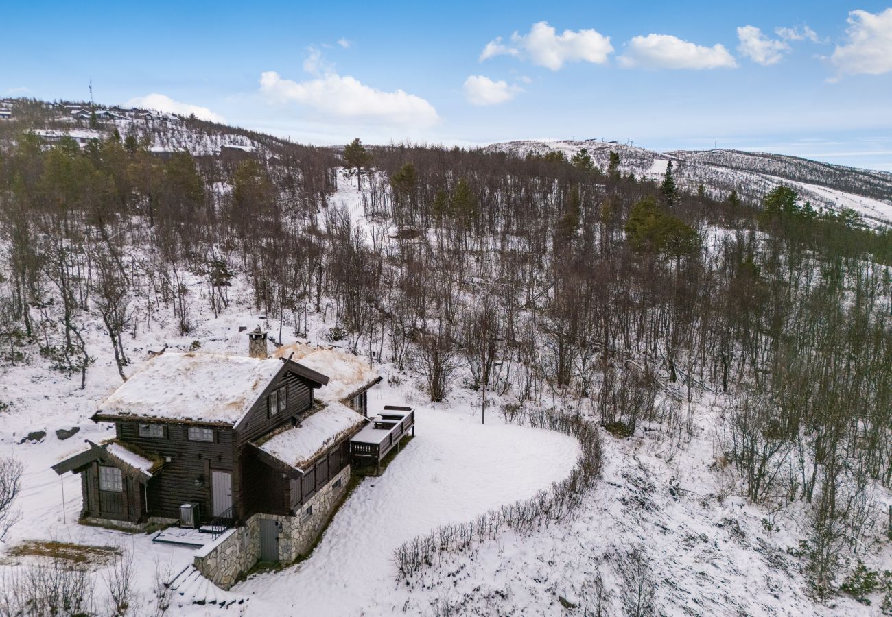 Hytte i Hol - Nylig oppgradert stor vakker hytte med fantastisk utsikt i Geilo