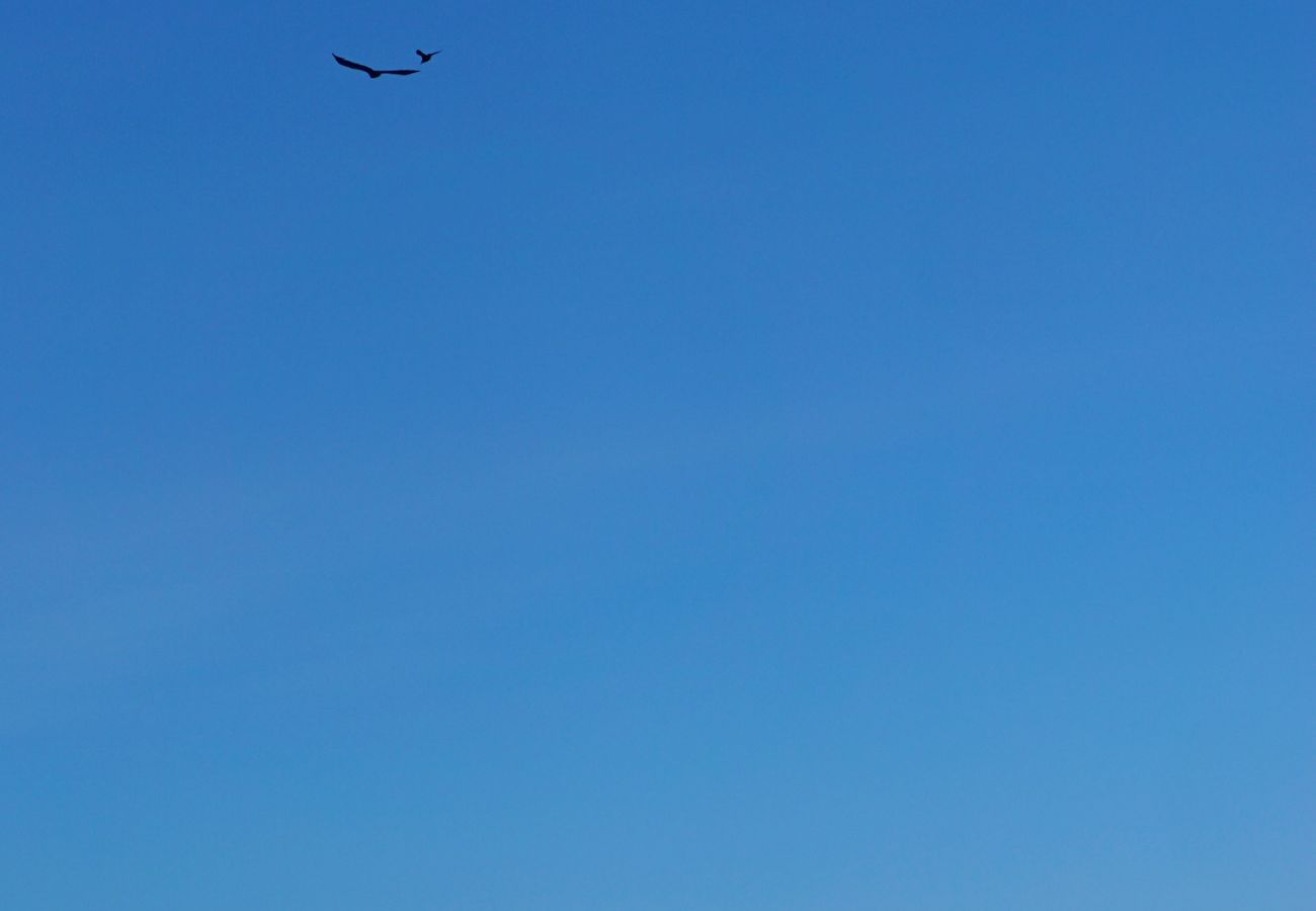 Leilighet i Vågan - Modern One-Bedroom Apartment