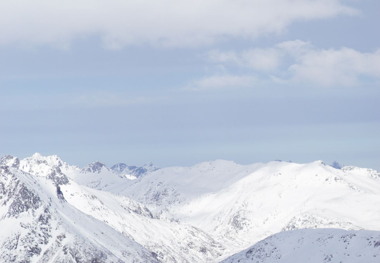 Leilighet i Vågan - Modern One-Bedroom Apartment