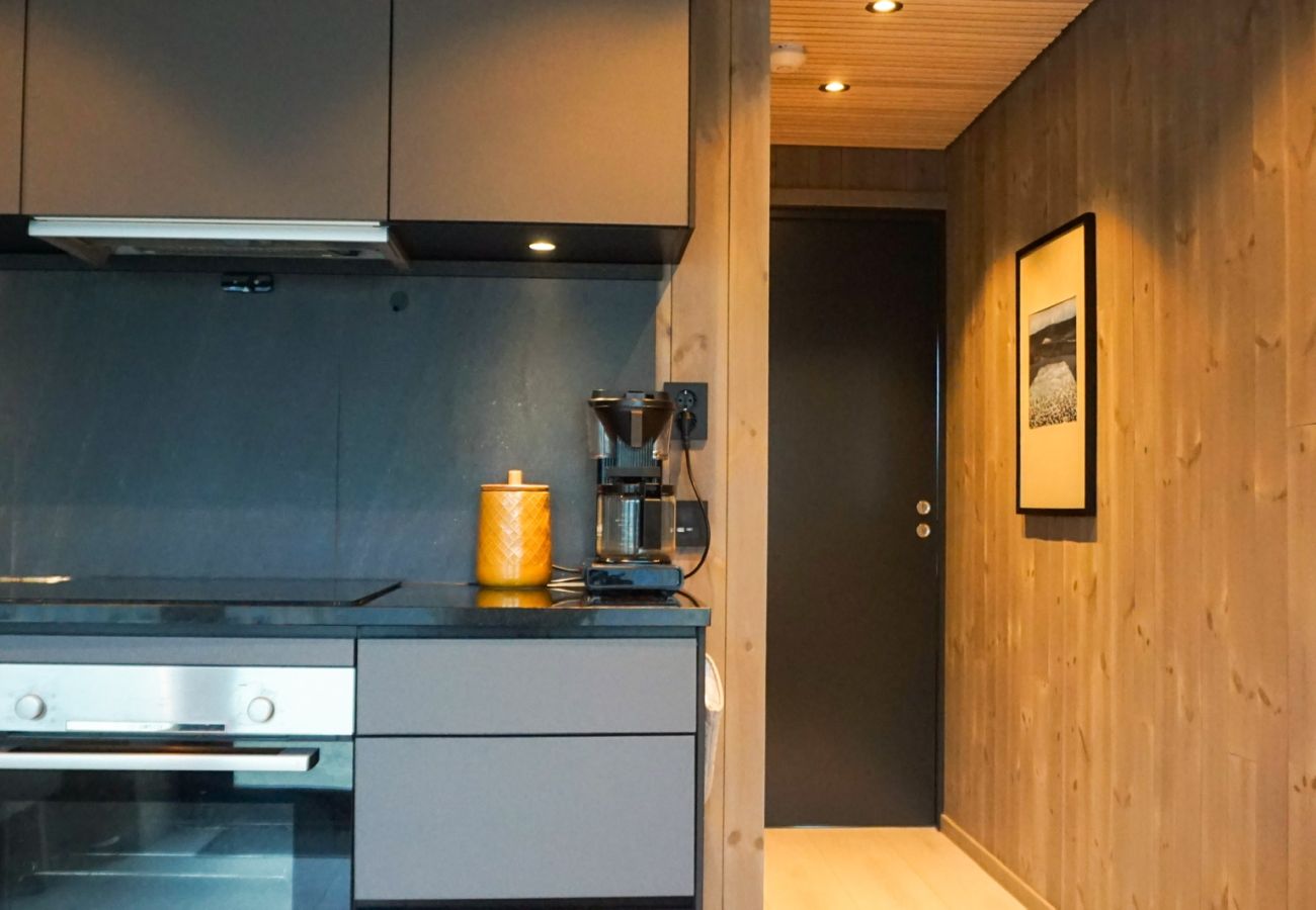 Leilighet i Vågan - Modern One-Bedroom Apartment