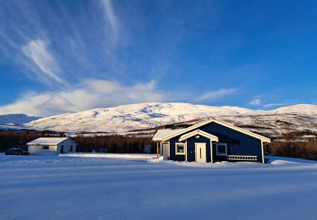 Studioleilighet i Tromsø - Elvenes, krypinn for to