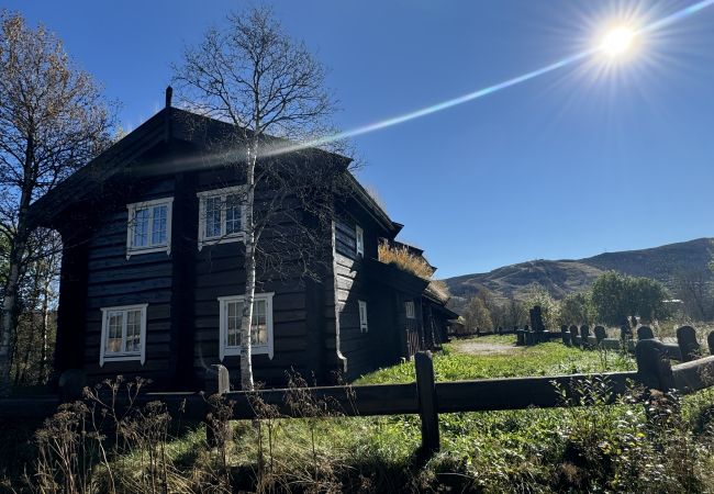 Hytte i Hol - Geilo sentrum - koselig leilighet - sentral beliggenhet Hytte i Hol - Geilo sentrum - koselig leilighet - sentral beliggenhet