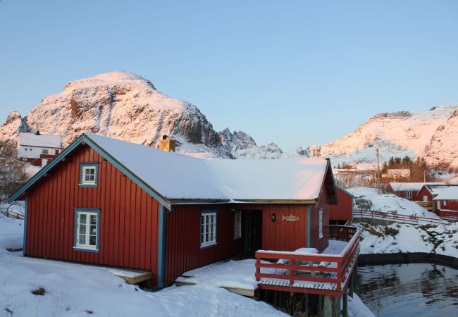 Hytte i Moskenes - Elisabeth-bua - Å i Lofoten