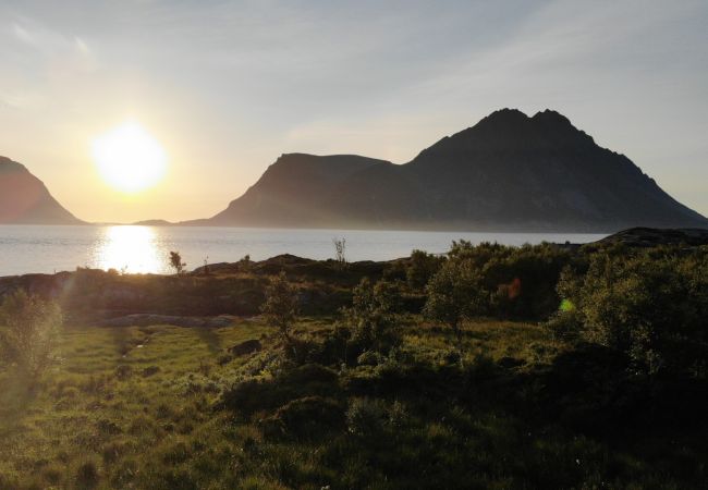 Hytte i Vågan - Lofoten Arctic Pearl Hytte i Vågan - Lofoten Arctic Pearl
