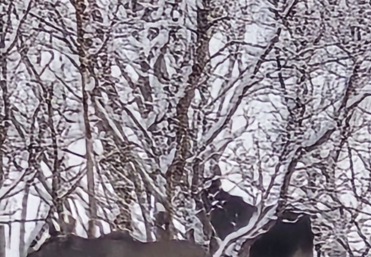 Hytte i Vågan - Lofoten Arctic Pearl