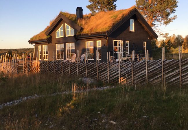 Hytte i Gol - New and cozy family cabin on Golsfjellet