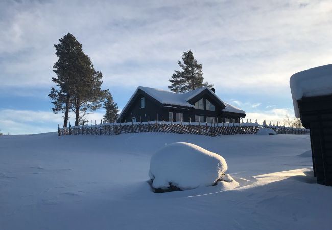 Hytte i Gol - New and great family cabin on Golsfjellet