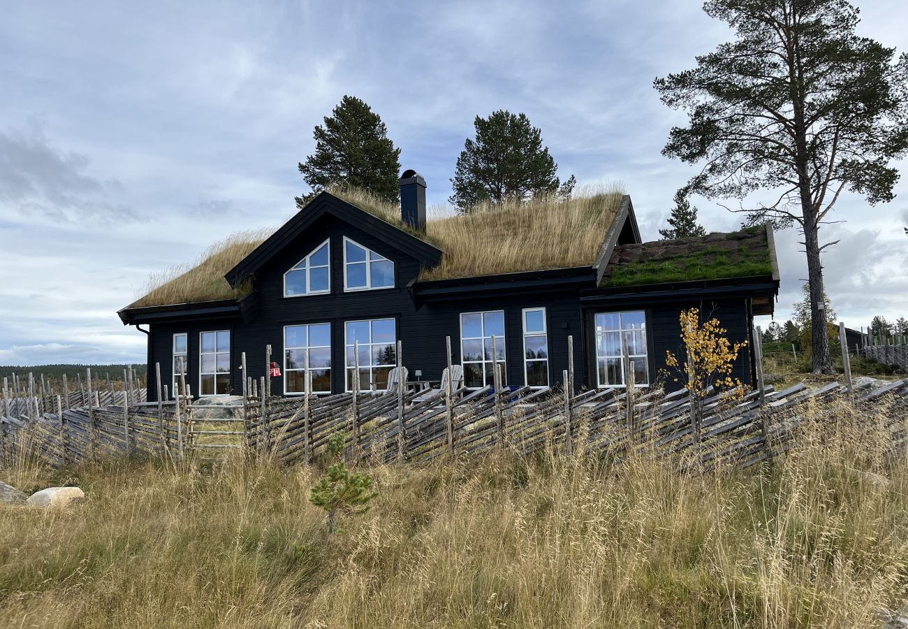 Hytte i Gol - New and great family cabin on Golsfjellet