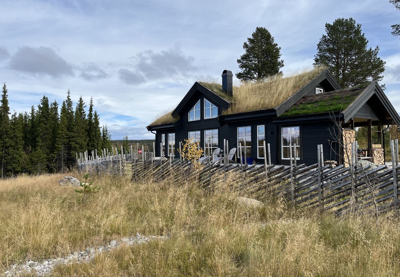 Hytte i Gol - New and great family cabin on Golsfjellet