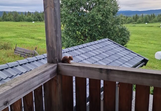 Leilighet i Gol - Familievennlig leilighet til leie på Golsfjellet Leilighet i Gol - Familievennlig leilighet til leie på Golsfjellet