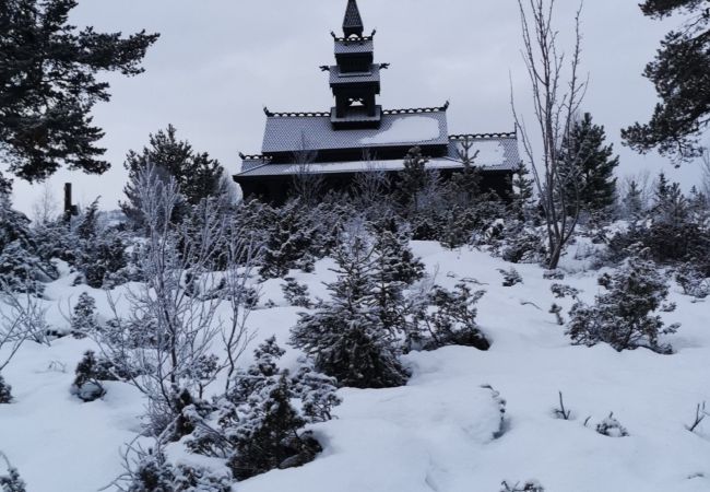 Leilighet i Gol - Familievennlig leilighet til leie på Golsfjellet Leilighet i Gol - Familievennlig leilighet til leie på Golsfjellet