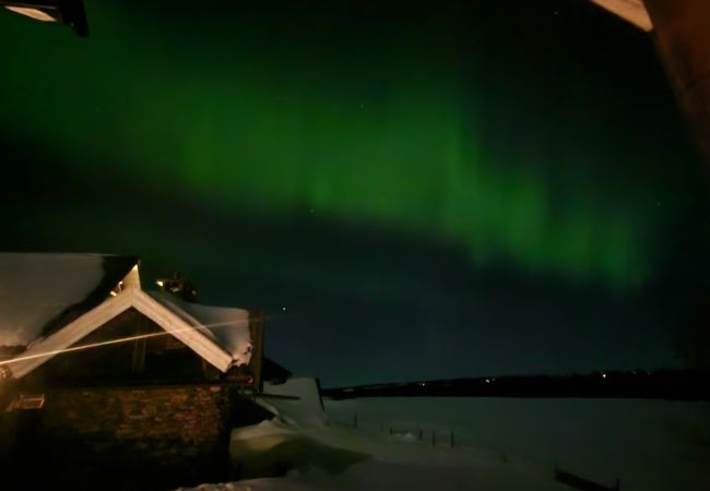 Leilighet i Gol - Familievennlig leilighet til leie på Golsfjellet Leilighet i Gol - Familievennlig leilighet til leie på Golsfjellet
