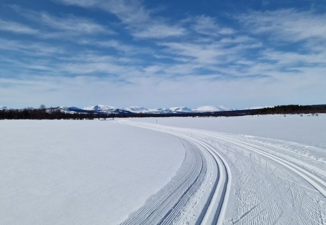 Leilighet i Gol - Familievennlig leilighet til leie på Golsfjellet Leilighet i Gol - Familievennlig leilighet til leie på Golsfjellet