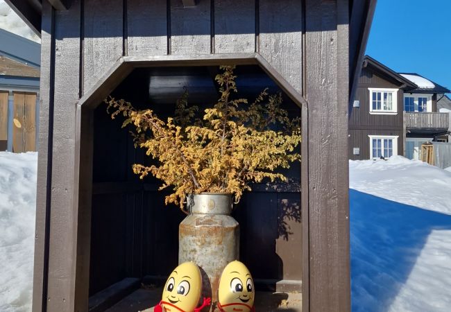 Leilighet i Gol - Familievennlig leilighet til leie på Golsfjellet Leilighet i Gol - Familievennlig leilighet til leie på Golsfjellet