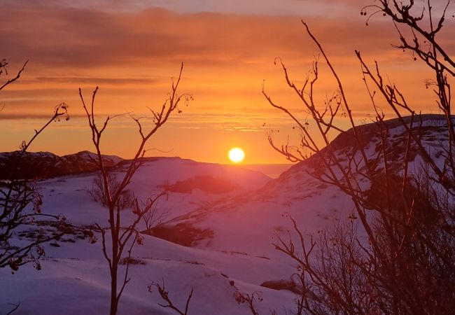 Hus i Flakstad - Feriehus i Sund, Lofoten Hus i Flakstad - Feriehus i Sund, Lofoten