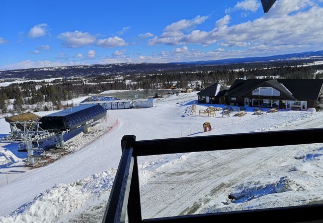 Leilighet i Gol - Koselig leilighet med ski in/ski out på Golsfjellet Leilighet i Gol - Koselig leilighet med ski in/ski out på Golsfjellet