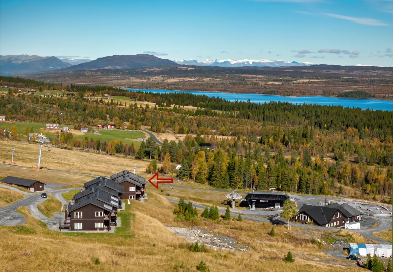 Leilighet i Gol - Koselig leilighet med ski in/ski out på Golsfjellet