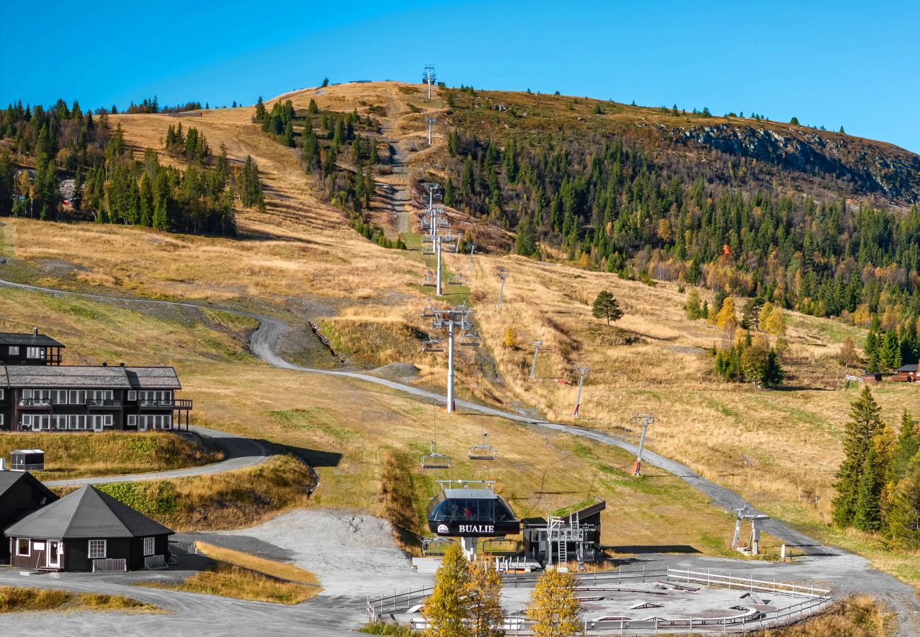 Leilighet i Gol - Koselig leilighet med ski in/ski out på Golsfjellet