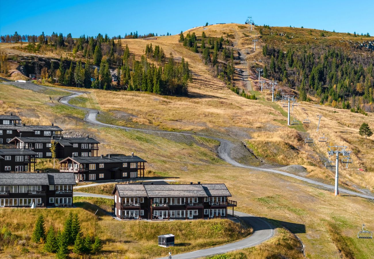 Leilighet i Gol - Koselig leilighet med ski in/ski out på Golsfjellet