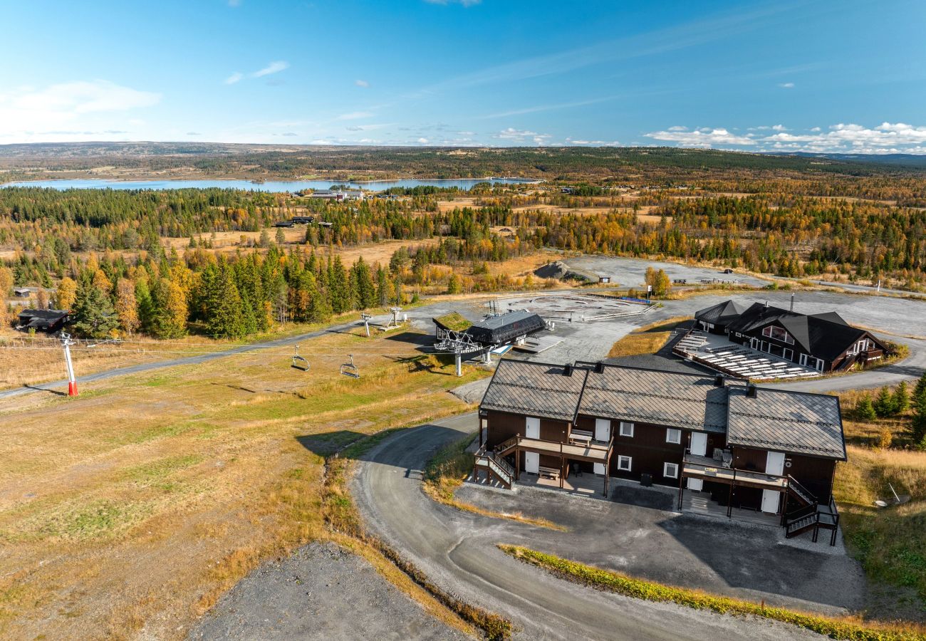 Leilighet i Gol - Koselig leilighet med ski in/ski out på Golsfjellet
