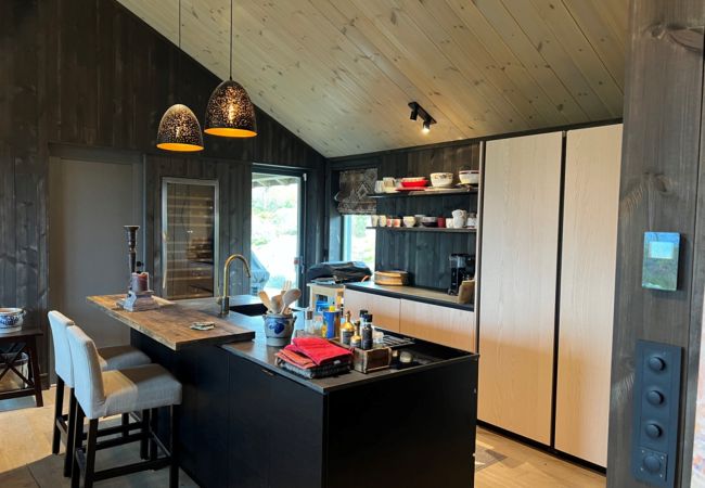 Hytte i Hol - Spacious, exclusive and modern cabin for rent in Kikut, Geilo Hytte i Hol - Spacious, exclusive and modern cabin for rent in Kikut, Geilo