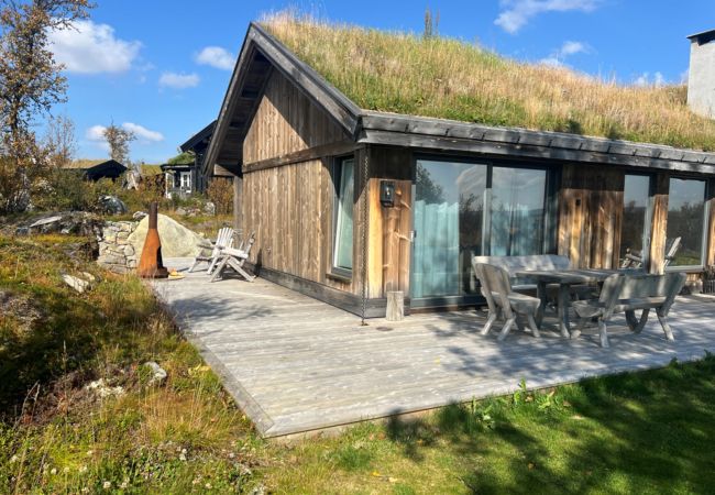 Hytte i Hol - Spacious, exclusive and modern cabin for rent in Kikut, Geilo Hytte i Hol - Spacious, exclusive and modern cabin for rent in Kikut, Geilo