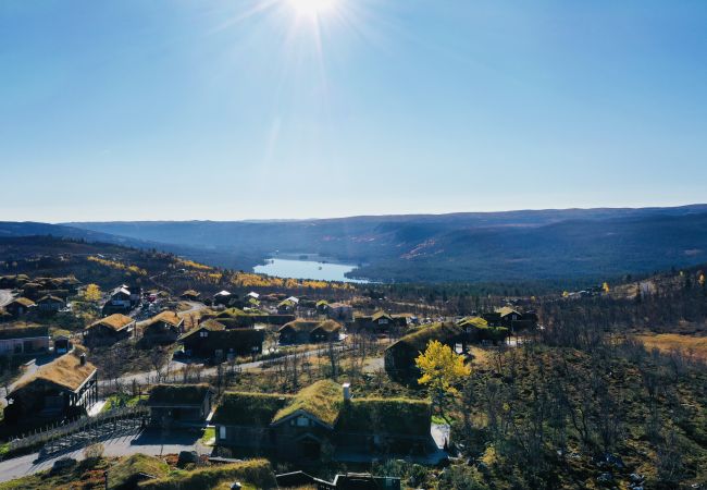 Hytte i Hol - Spacious, exclusive and modern cabin for rent in Kikut, Geilo Hytte i Hol - Spacious, exclusive and modern cabin for rent in Kikut, Geilo