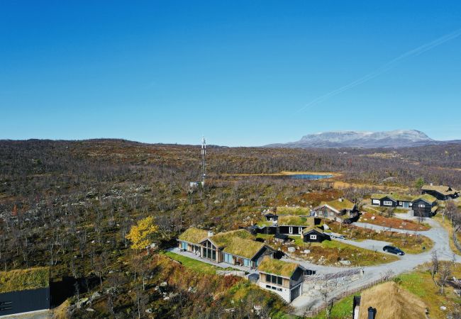 Hytte i Hol - Spacious, exclusive and modern cabin for rent in Kikut, Geilo Hytte i Hol - Spacious, exclusive and modern cabin for rent in Kikut, Geilo