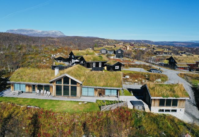 Hytte i Hol - Spacious, exclusive and modern cabin for rent in Kikut, Geilo Hytte i Hol - Spacious, exclusive and modern cabin for rent in Kikut, Geilo
