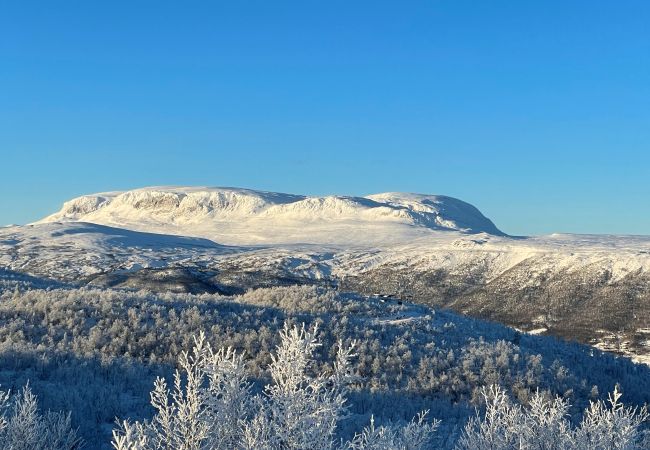Hytte i Hol - Spacious, exclusive and modern cabin for rent in Kikut, Geilo Hytte i Hol - Spacious, exclusive and modern cabin for rent in Kikut, Geilo