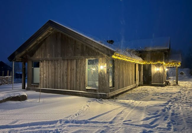 Hytte i Hol - Spacious, exclusive and modern cabin for rent in Kikut, Geilo Hytte i Hol - Spacious, exclusive and modern cabin for rent in Kikut, Geilo