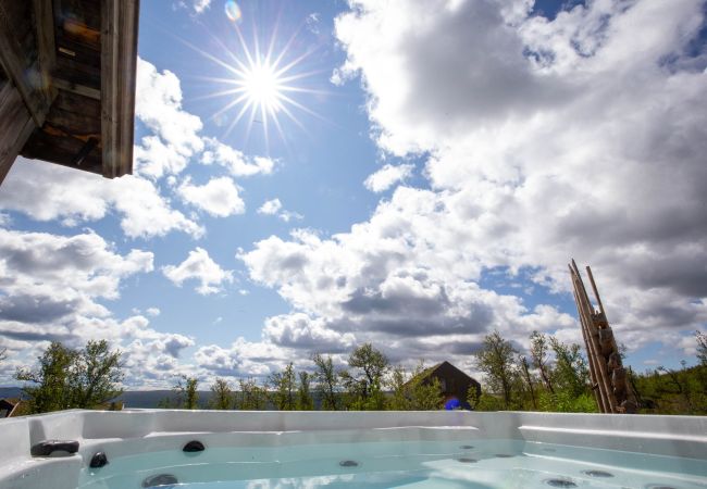 Hytte i Hol - Spacious, exclusive and modern cabin for rent in Kikut, Geilo Hytte i Hol - Spacious, exclusive and modern cabin for rent in Kikut, Geilo
