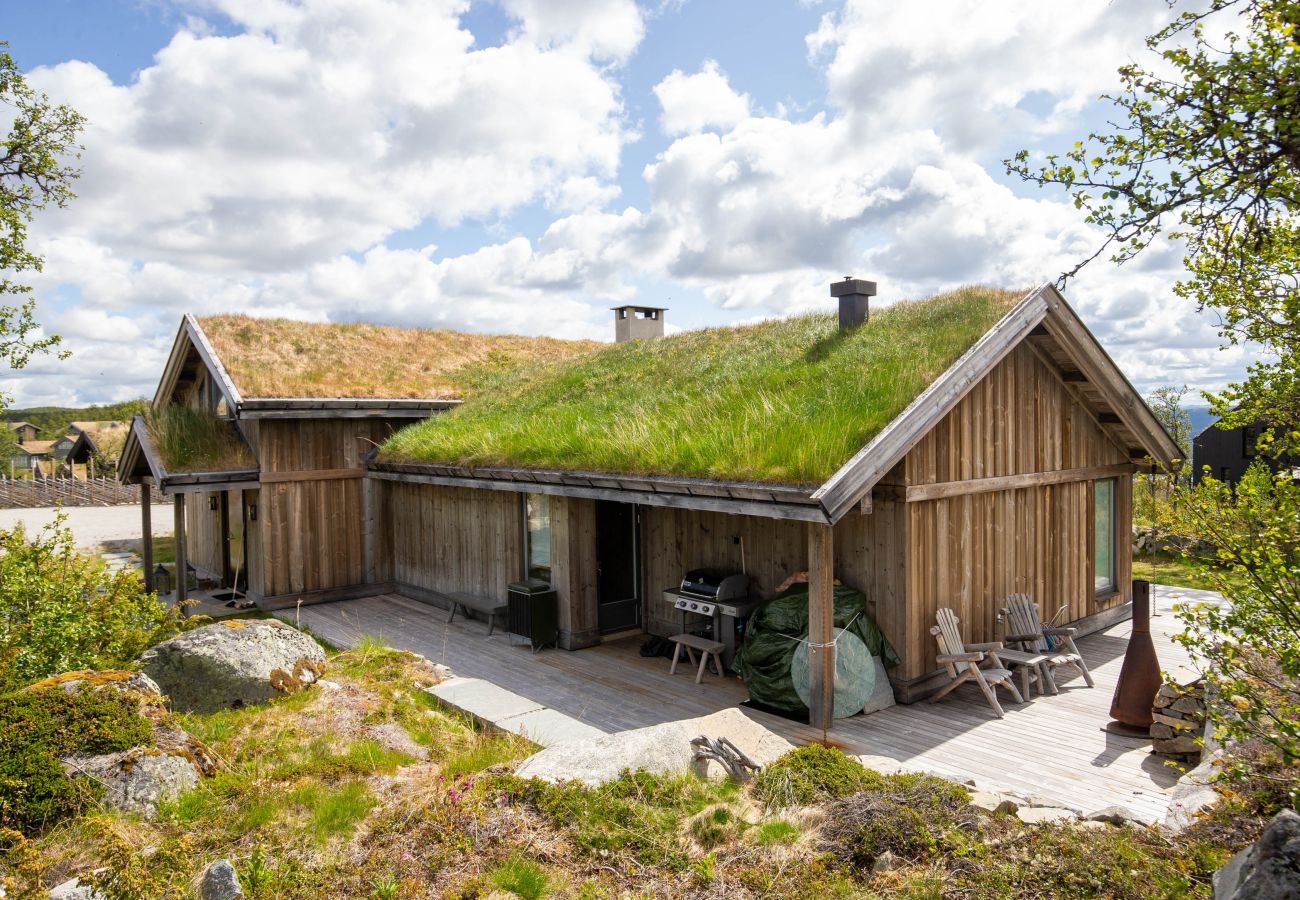 Hytte i Hol - Spacious, exclusive and modern cabin for rent in Kikut, Geilo