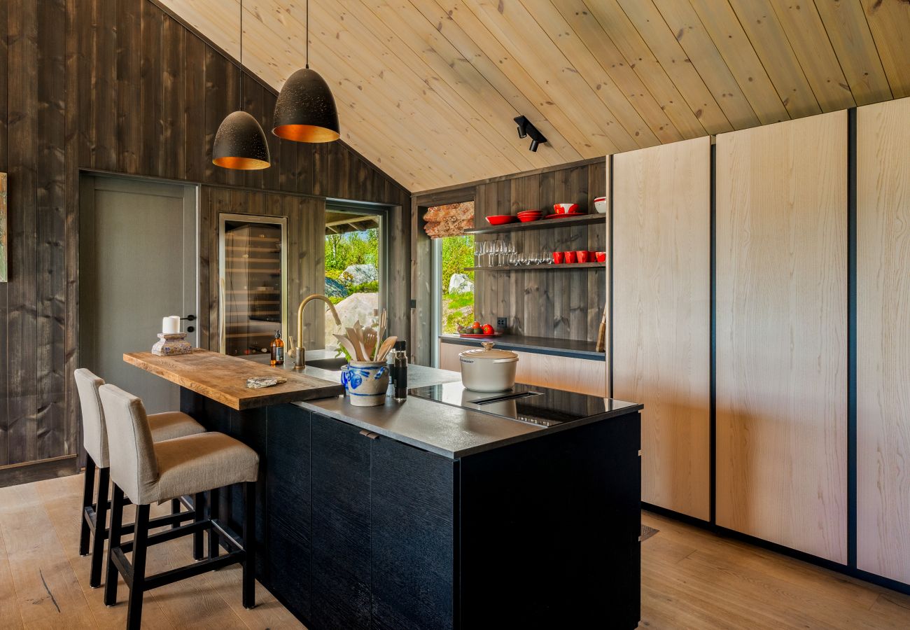 Hytte i Hol - Spacious, exclusive and modern cabin for rent in Kikut, Geilo
