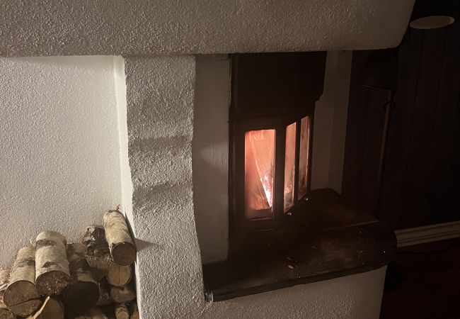 Leilighet i Hemsedal - Romslig leilighet nær Hemsedal skisenter Leilighet i Hemsedal - Romslig leilighet nær Hemsedal skisenter