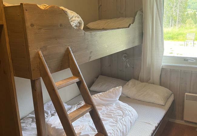 Leilighet i Hemsedal - Romslig leilighet nær Hemsedal skisenter Leilighet i Hemsedal - Romslig leilighet nær Hemsedal skisenter